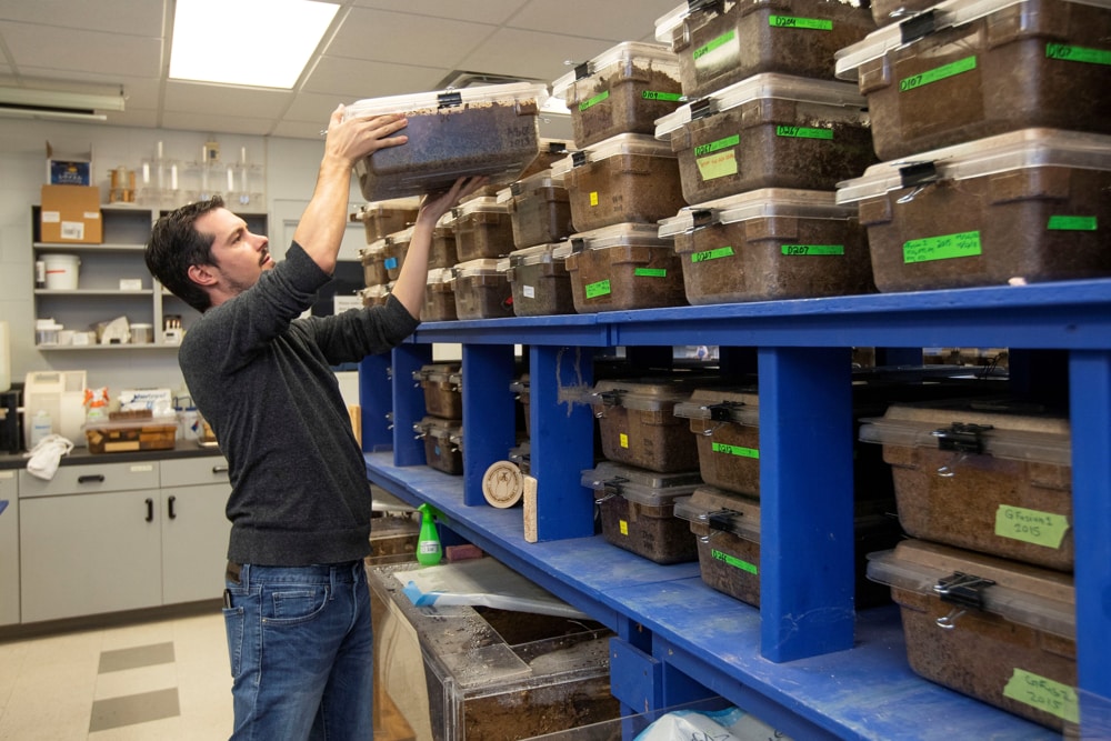 Chouvenc lab. Foto de Tyler Jones UFIFAS