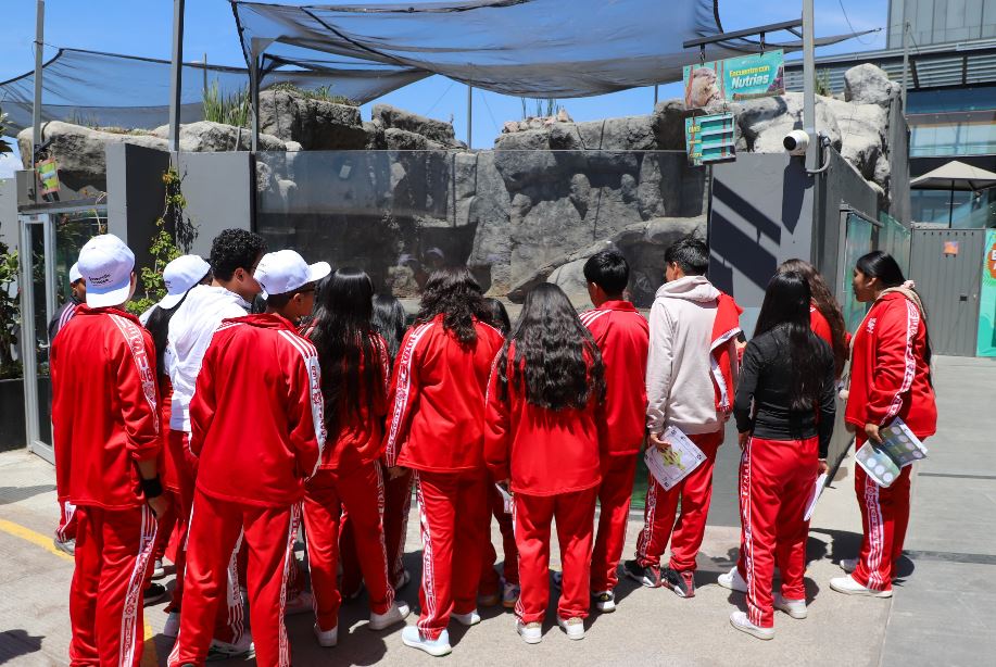 "Viajes Inolvidables": Jóvenes descubren la riqueza de Puebla