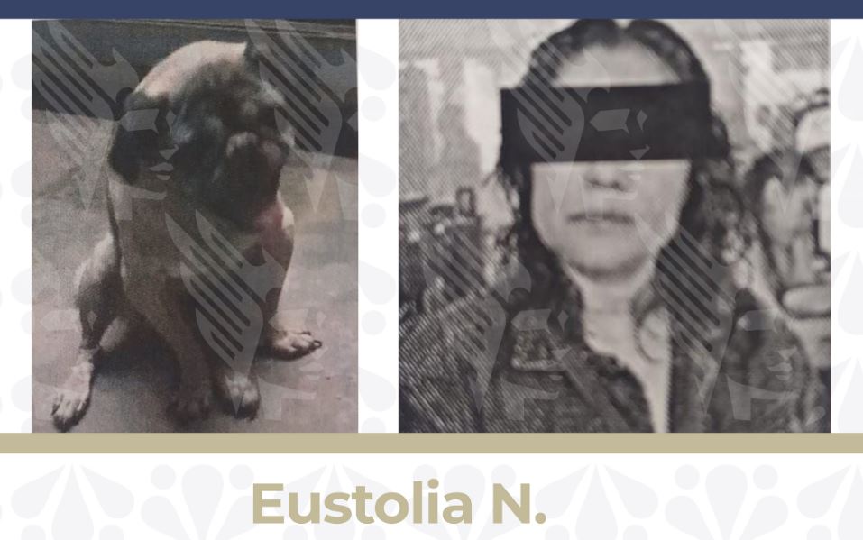 Mujer es vinculada a proceso por maltrato animal en Puebla