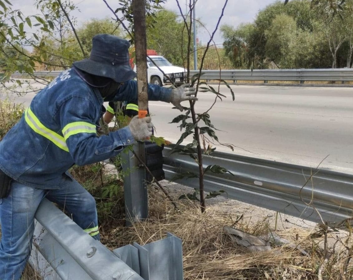 Mantienen limpieza y previenen incendios en la Recta a Cholula