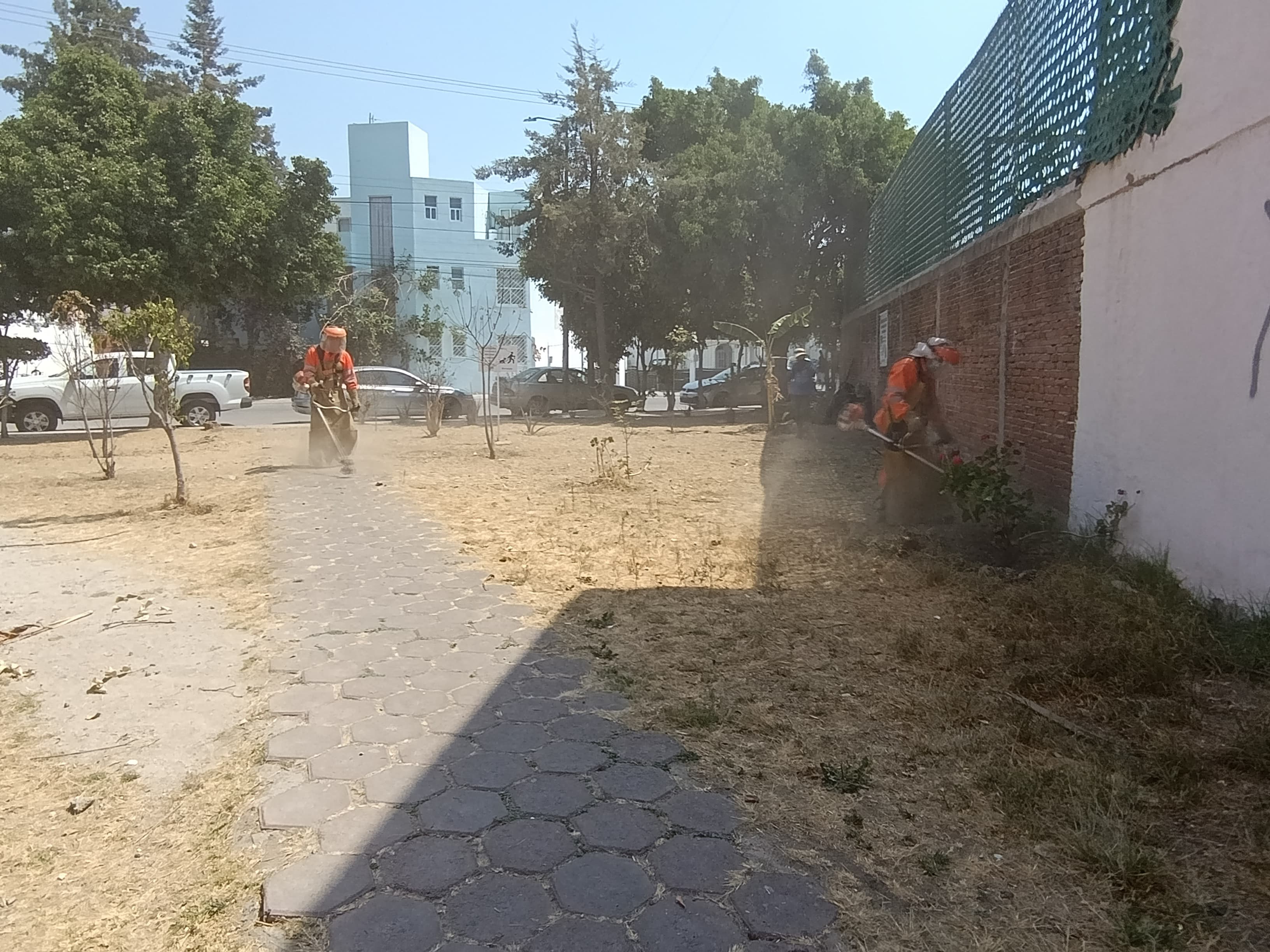 SMDIF Cuautlancingo realiza faena comunitaria en la Reserva Territorial Quetzalcóatl