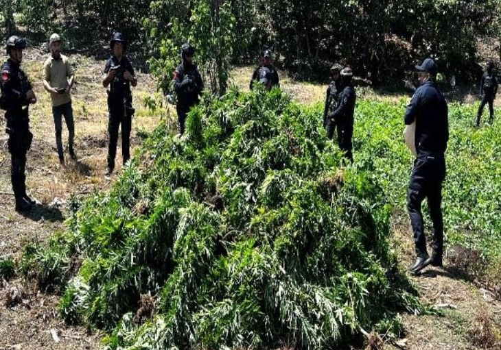 Resultados de seguridad del 12 de mayo en 15 estados del país