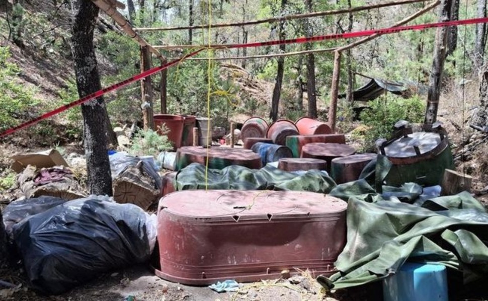 Resultados de la Estrategia Nacional de Seguridad al 14 de mayo de 2025