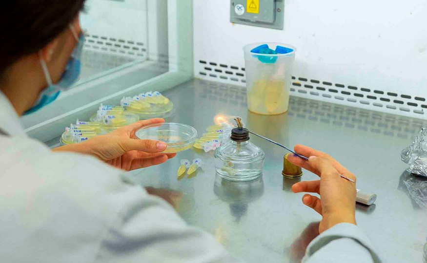 Rompiendo el mito: la ciencia no es un privilegio para genios