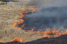 San Andrés refuerza acciones preventivas ante 22 a 30 incendios semanales 
