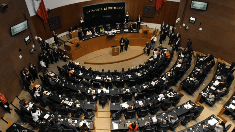 Senado aprueba reforma para permitir armamento en empresas del Estado