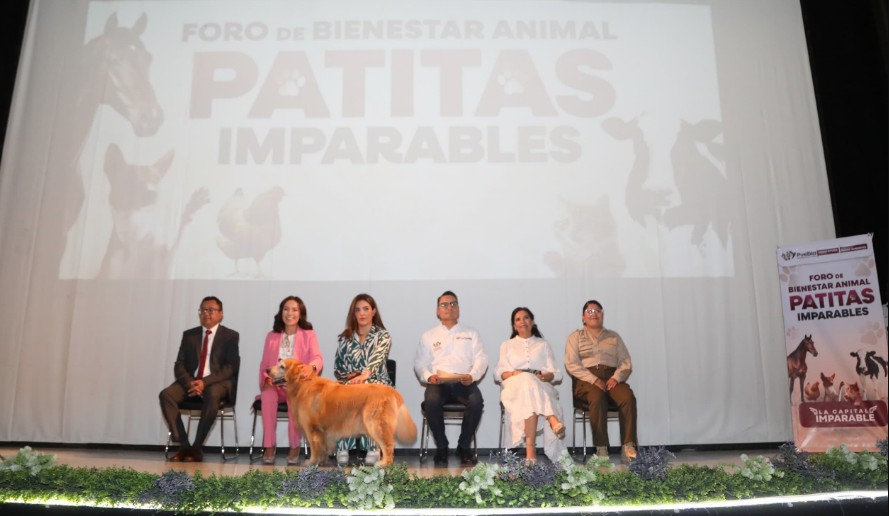 Puebla refuerza el bienestar animal con el foro “Patitas Imparables”