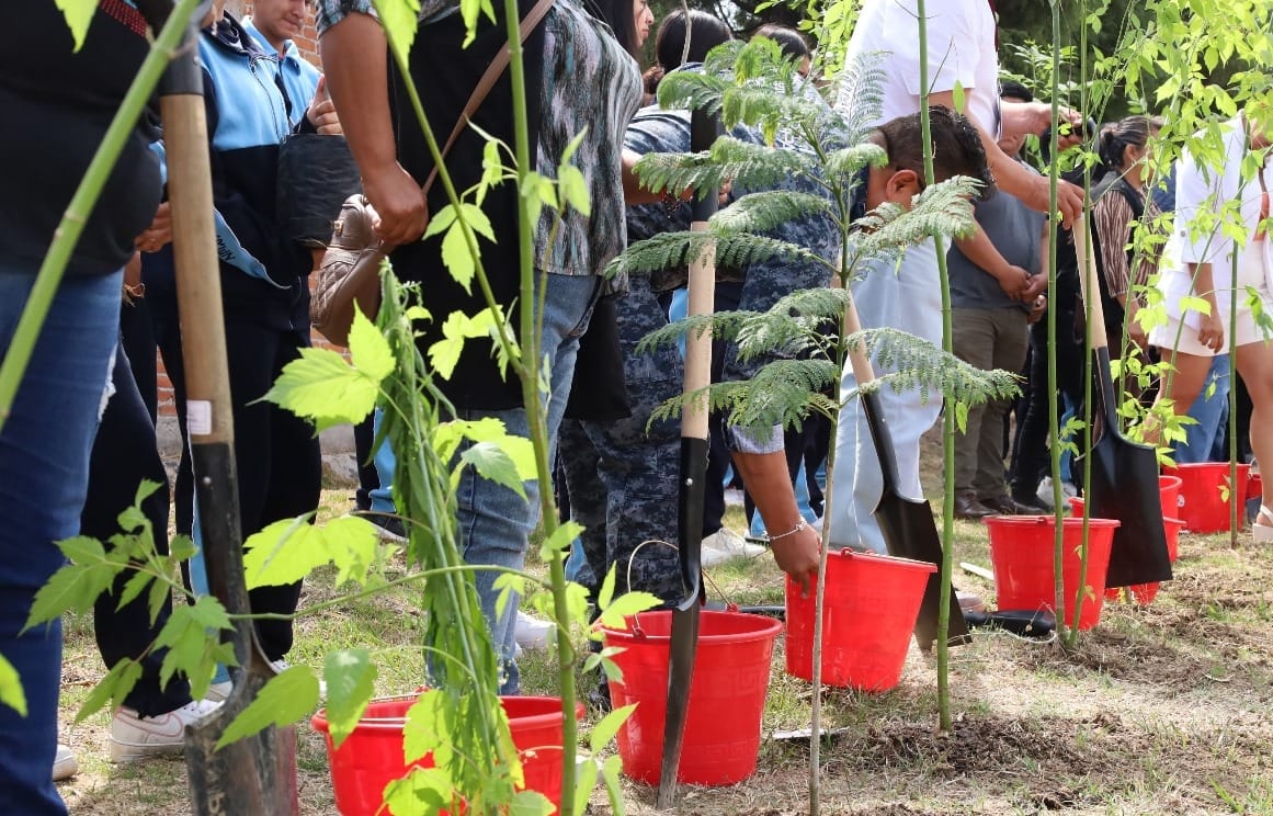Con jornada de reforestación, Armando Aguirre impulsa desarrollo sustentable en Coronango