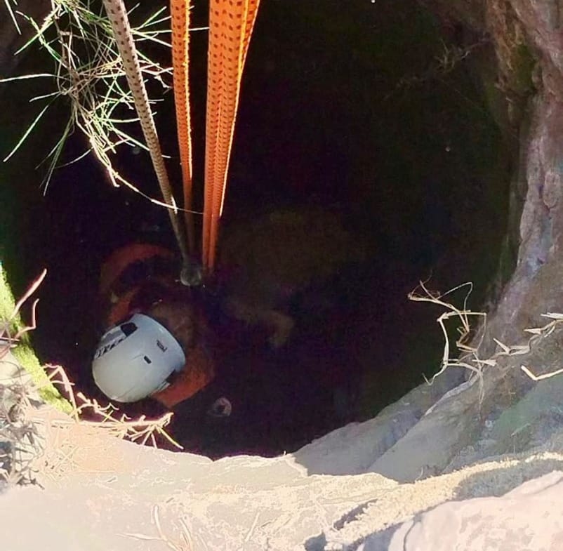 Reconocen labor de Protección Civil y Bomberos al rescatar un perrito en Cacalotepec