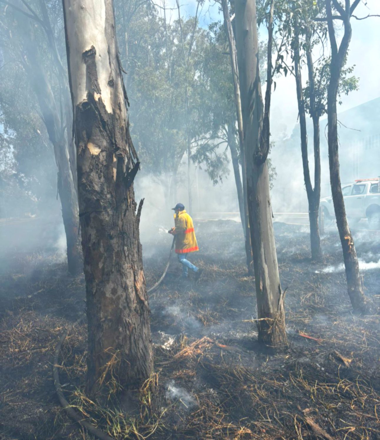 cuautlancingo combate incendio periferico vw 3