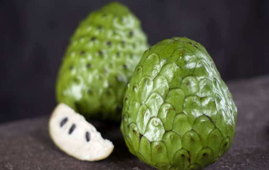Chirimoya: la fruta tropical olvidada en México con grandes beneficios