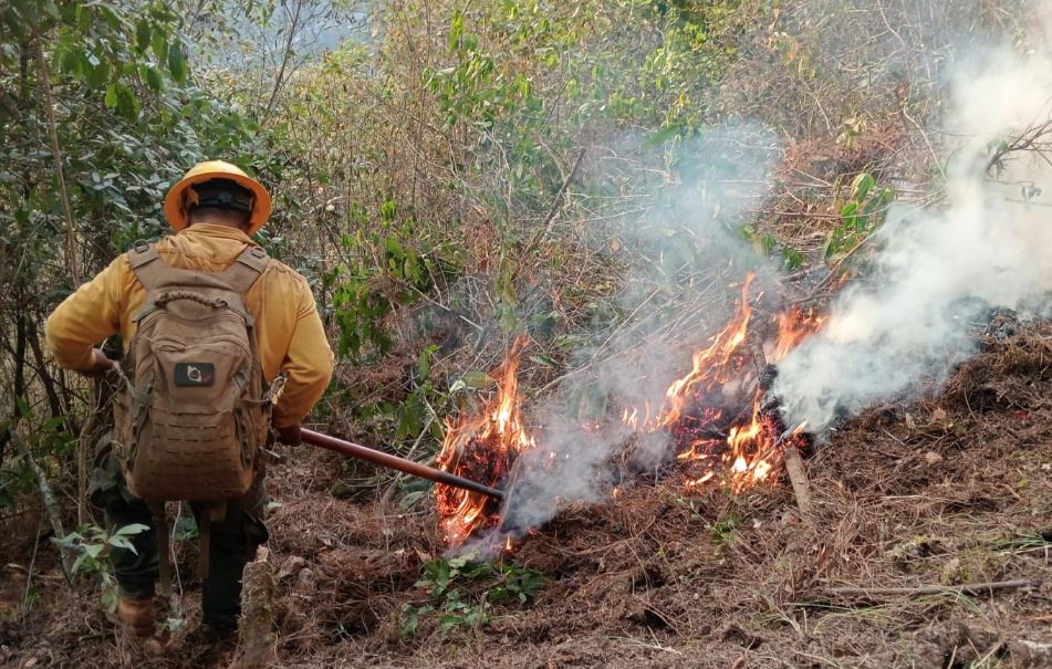Reducción histórica de incendios forestales en Puebla