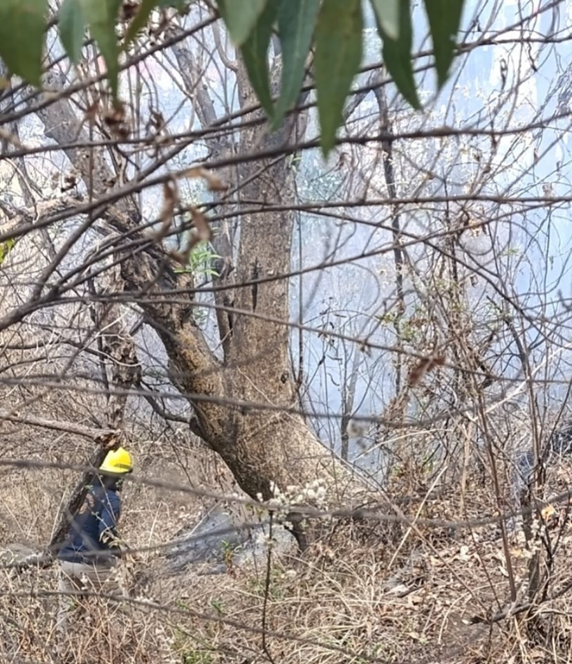 sofocan incendio zapotecas 3