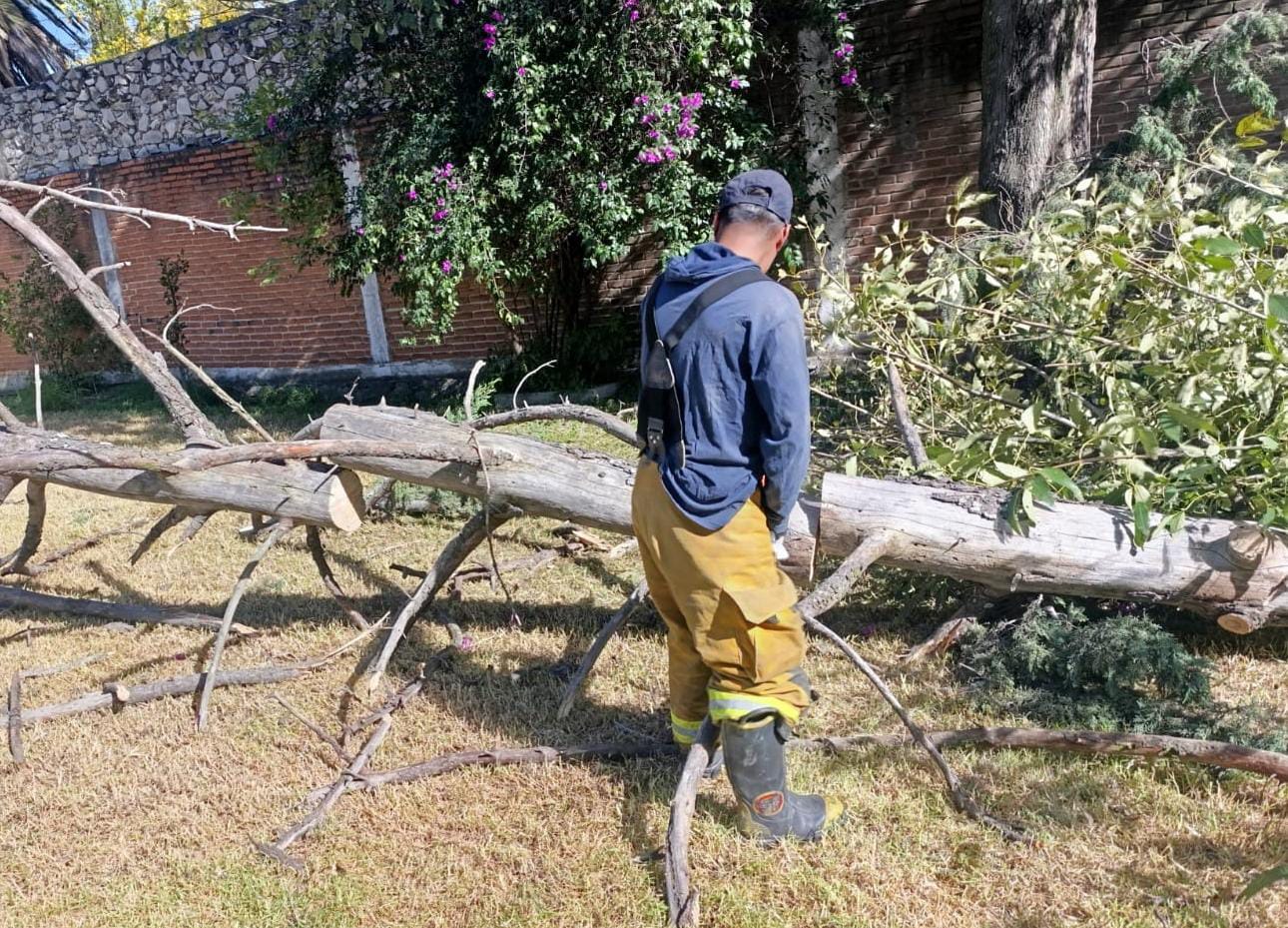 Gobierno de San Pedro Cholula responde ante afectaciones por el Frente Frío No. 13