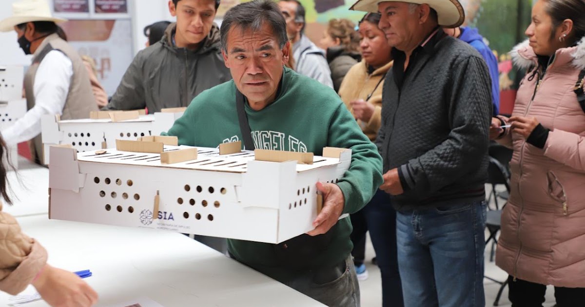 Tlaxcala impulsa al campo con 458 apoyos que cambian vidas en 17 municipios