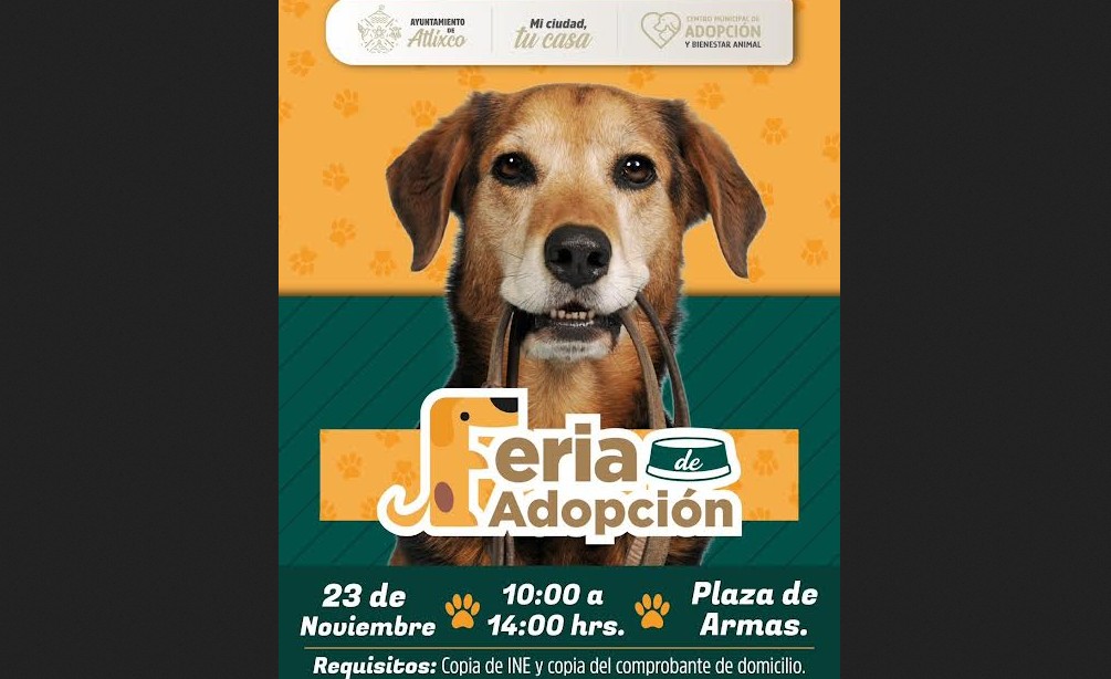 Un domingo para acercar apoyos reales