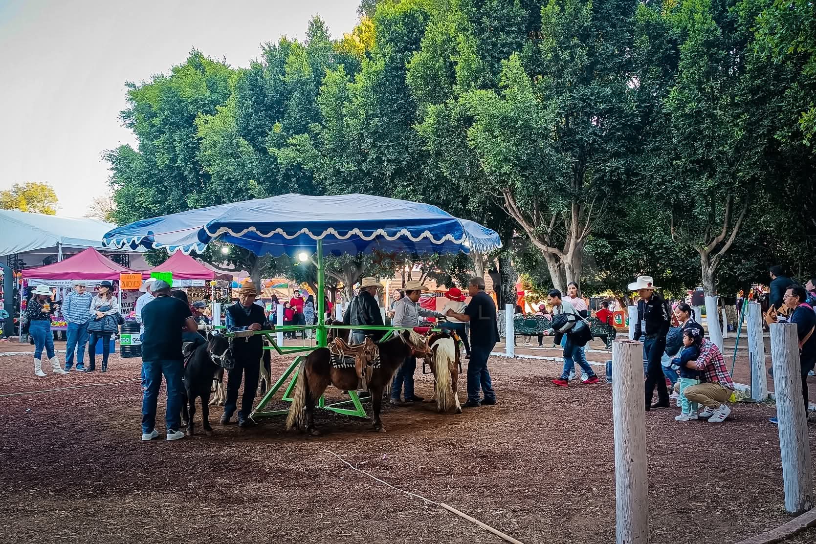 Exige OCPA al Patronato de la Feria protocolos claros para el bienestar animal