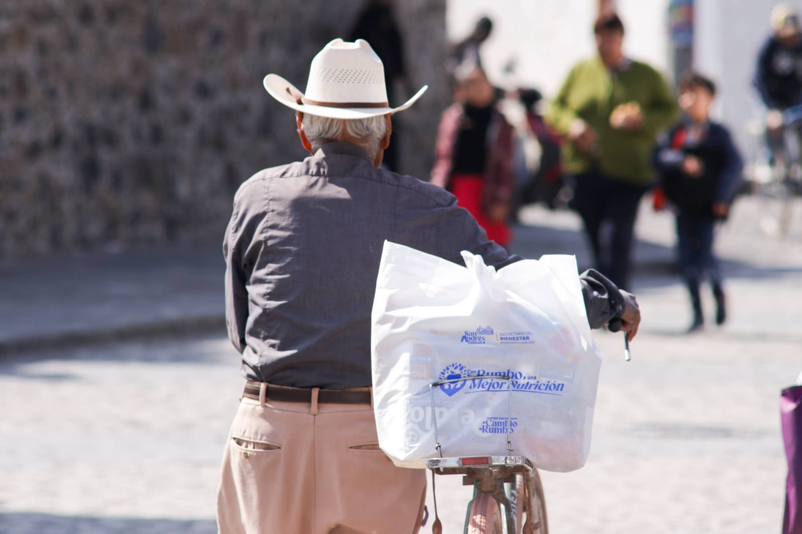 15 mil despensas nutricion familiar sach 2