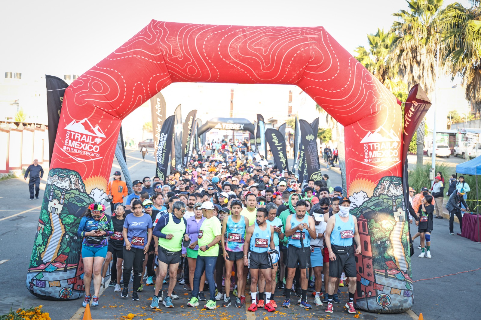 exito animas y raices segunda edicion 7