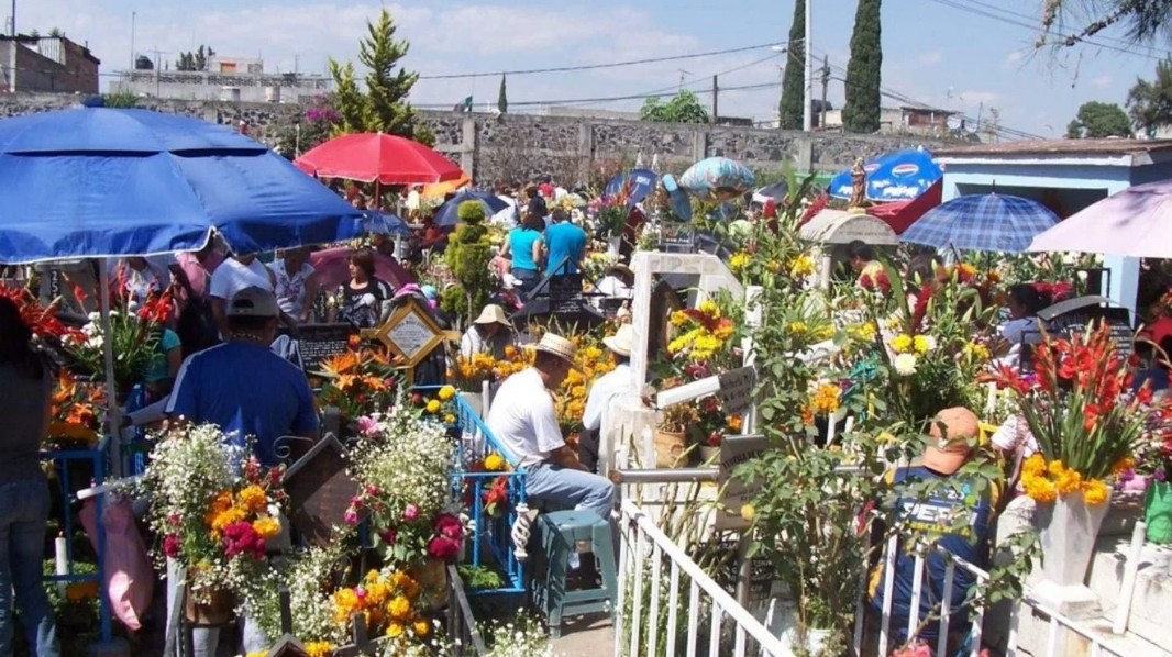 Violento ataque durante las celebraciones de Día de Muertos en Coyoacán