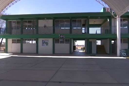 CECYTE Tlaxcala impulsa respeto animal tras incidente en plantel