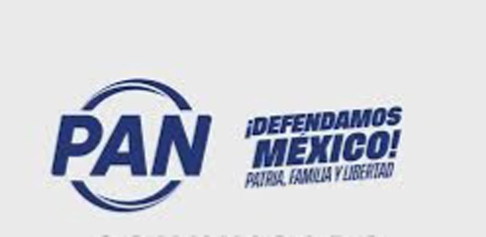 Apostar a la unidad tras renovación del Consejo Estatal del PAN: Guadalupe Cuautle