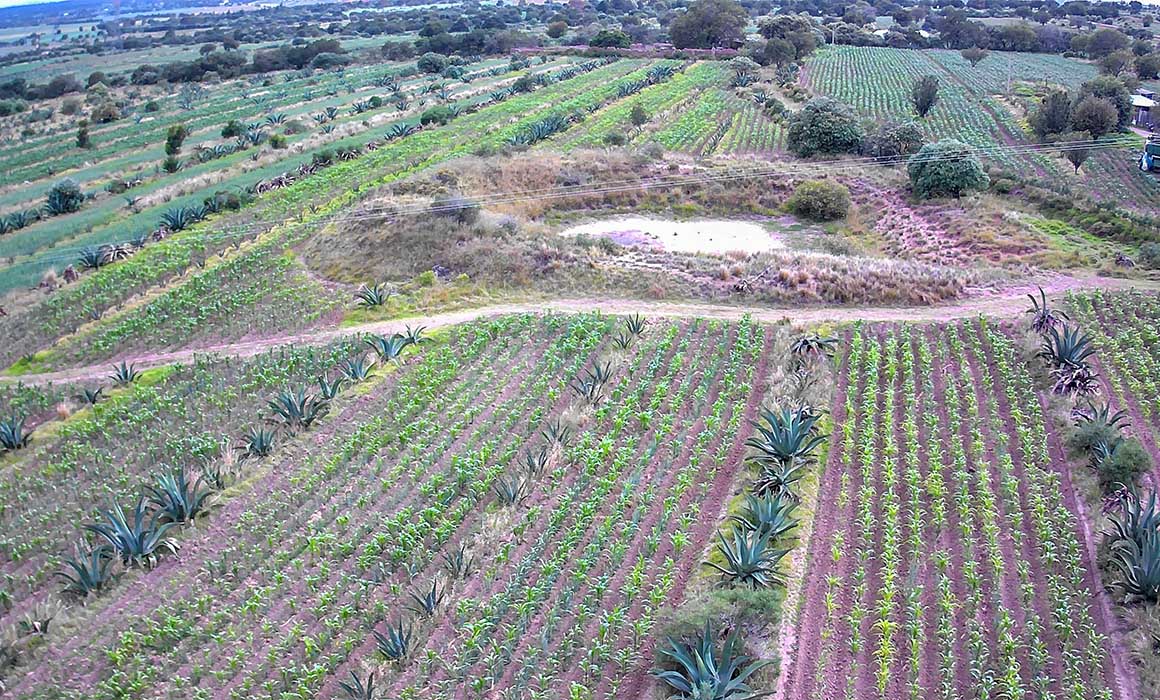 Tlaxcala recibe reconocimiento mundial por su ancestral sistema Metepantle