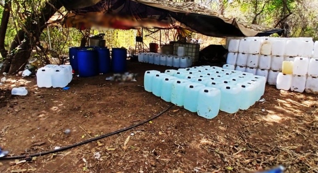 Fuerzas federales aseguran drogas y químicos en Sinaloa