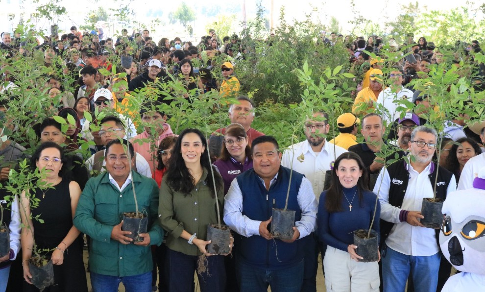 Reforestación masiva en Puebla