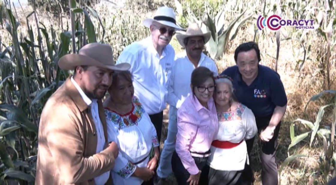 Tlaxcala celebra reconocimiento mundial al sistema agrícola ancestral Metepantle