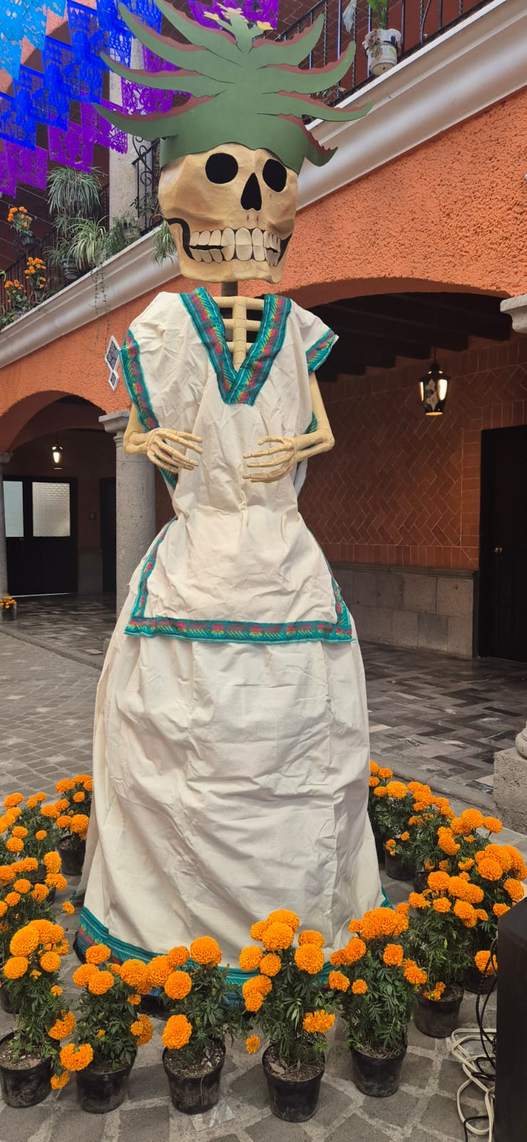 animas y raices cuautlancingo 6