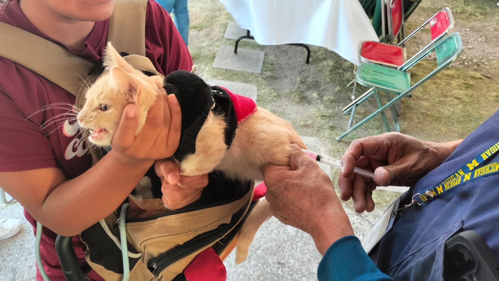 martes ciudadano coronango 128