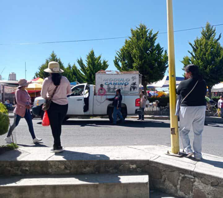 Ignoran municipios Ley de Bienestar Animal en Tlaxcala