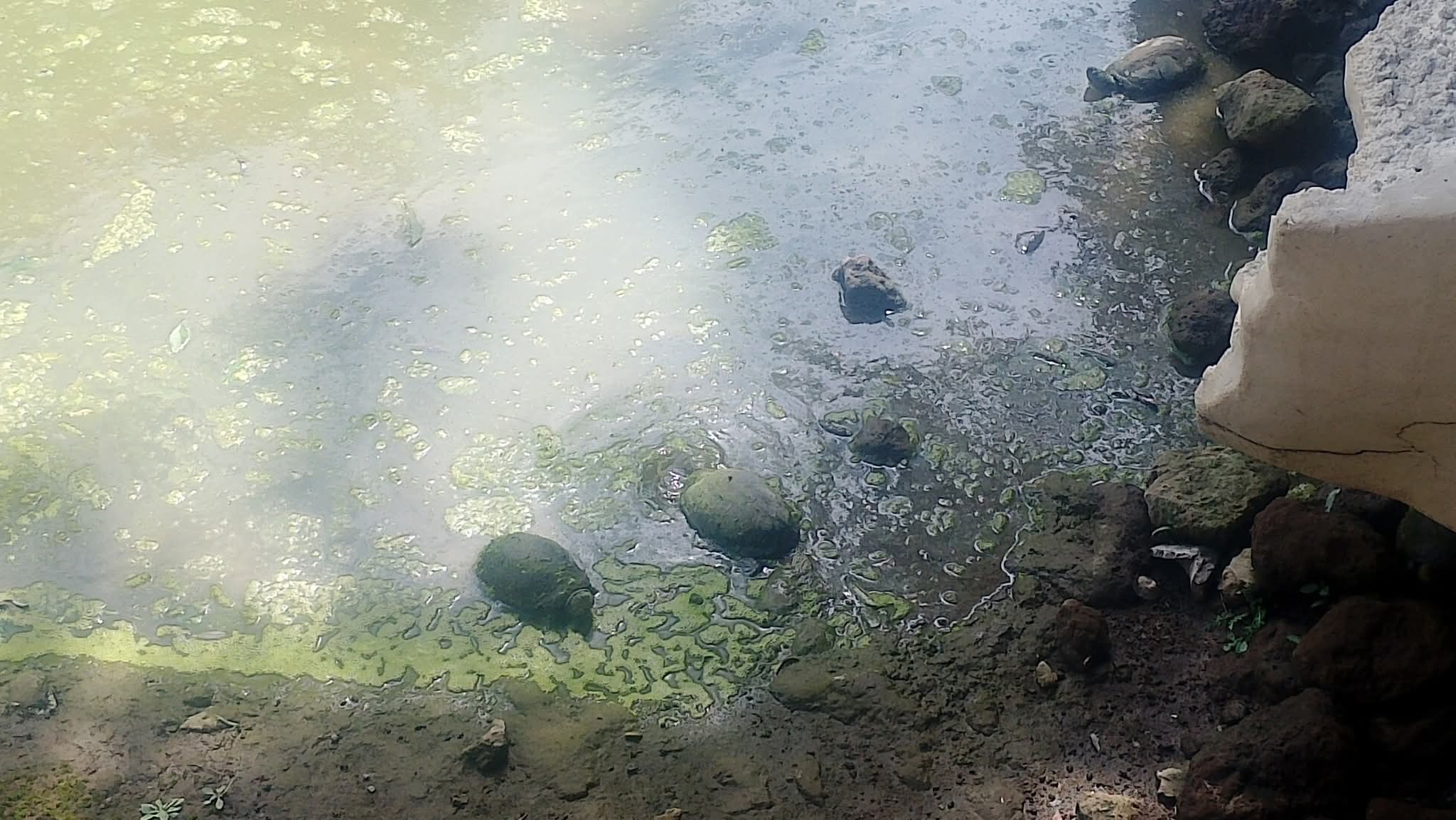 Niega Zoológico del Altiplano instalaciones en malas condiciones