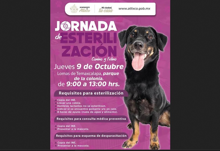 Promueven el bienestar y la tenencia responsable en Atlixco