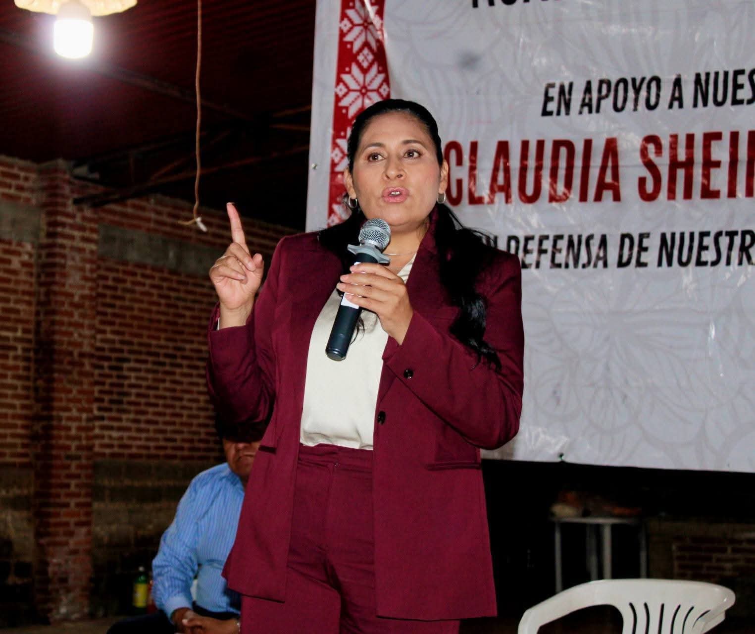 Agradece Ana Lilia Rivera apoyos sociales: un logro de la 4T