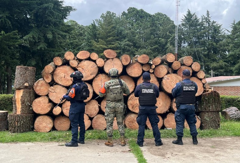Operativos contra delitos ambientales en Puebla