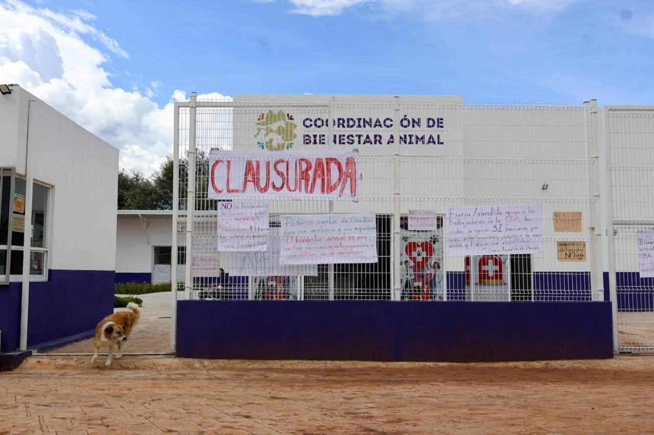 Trabajadores de CBA protestan contra titular recomendada de Lorena Cuéllar