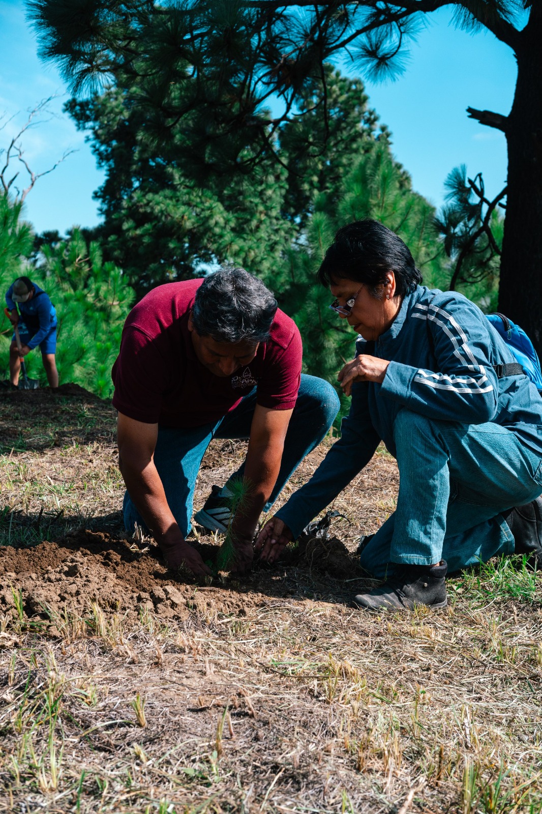 raíces de agua zapotecas 4