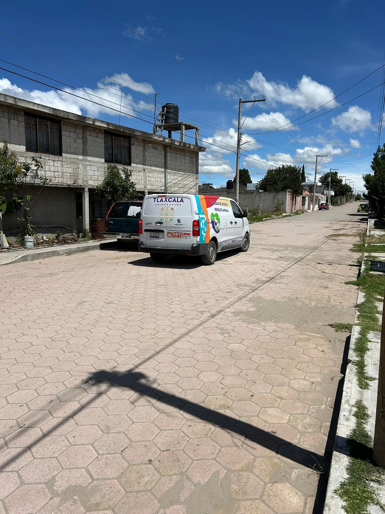 Desaparece Husky en Atlahapa, vivía en condiciones de maltrato