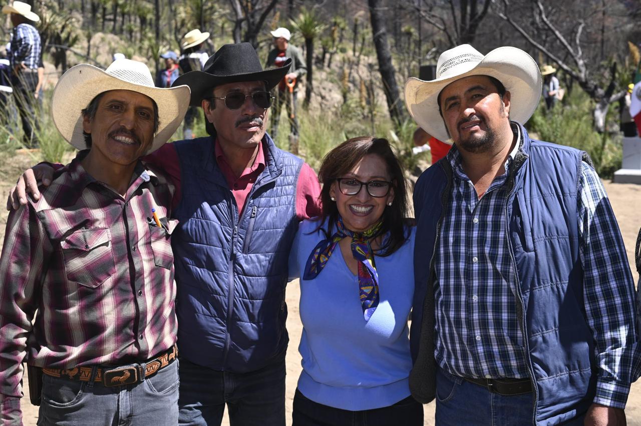 Reforestarán 330 hectáreas en Atltzayanca con más de 353 mil árboles