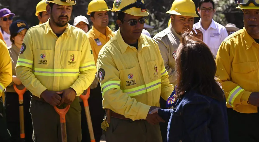 Tlaxcala inicia reforestación de 330 hectáreas tras incendio en Atltzayanca