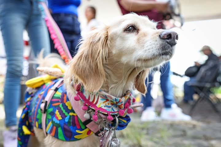 Omar Muñoz da banderazo de inicio al Centro de Bienestar Animal 