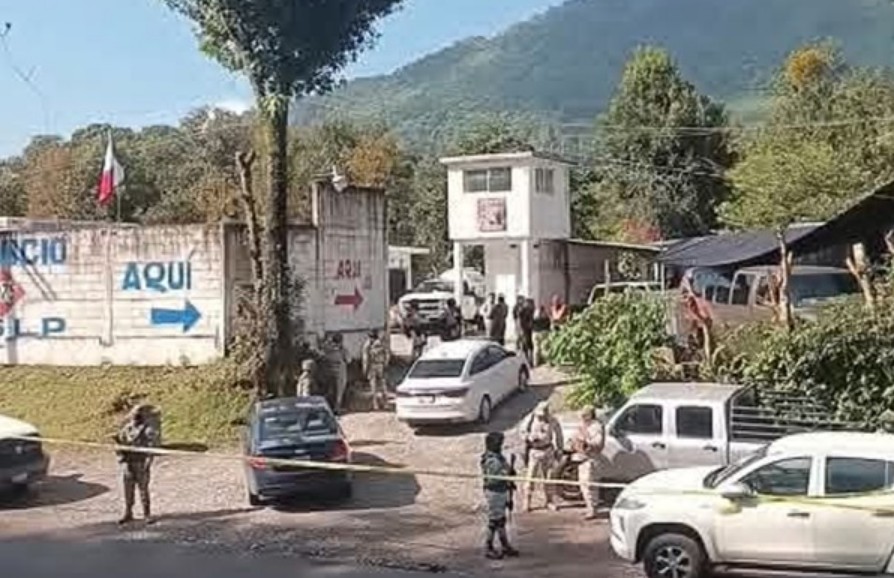 Operativo contra huachigas en la Sierra Norte