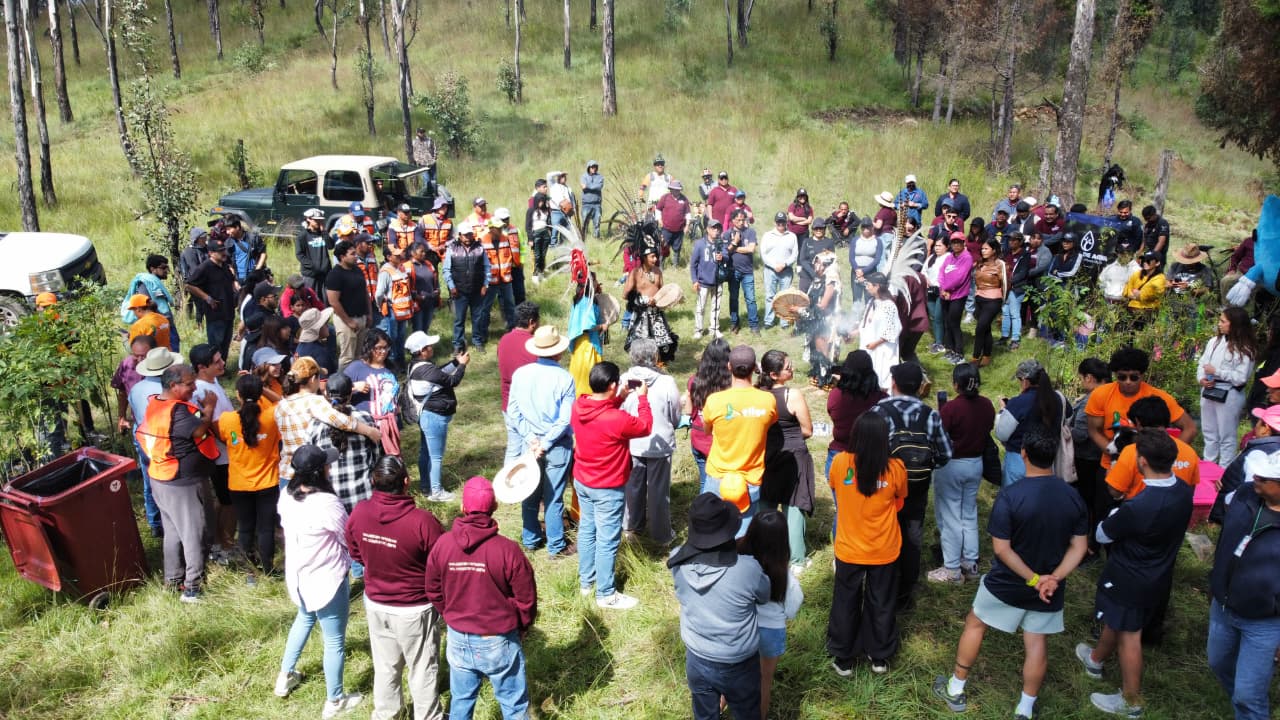 Tonantzin Fernández impulsa acciones ambientales con la jornada “Raíces de Agua” en el Cerro Zapotecas