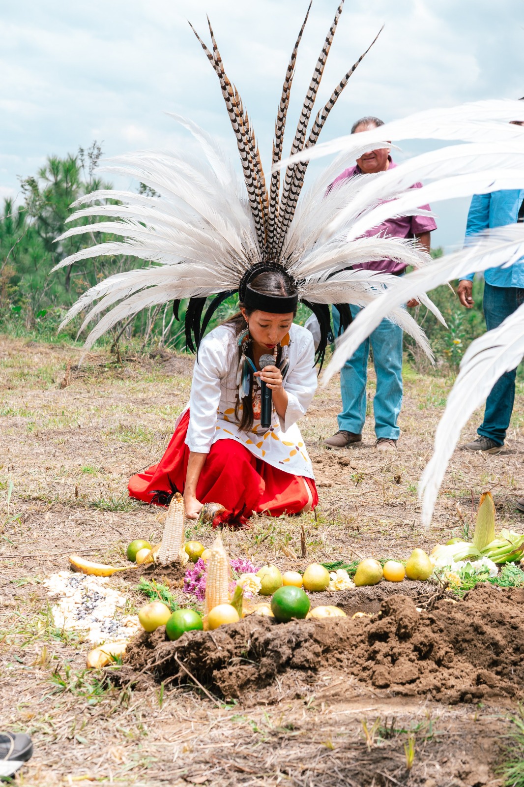 raíces de agua zapotecas 3