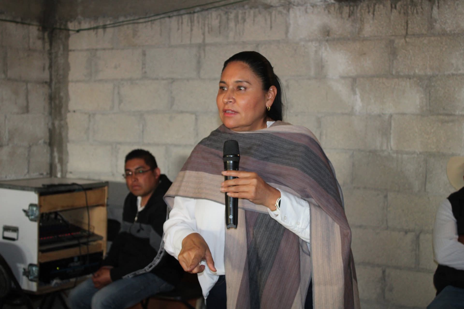 Celebra Ana Lilia Rivera acance del Plan B en los estados