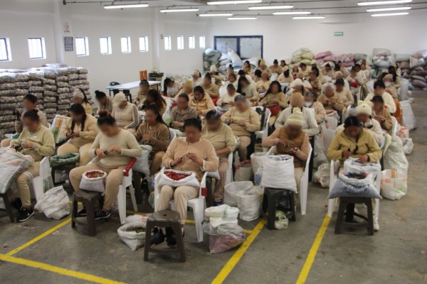 IMSS-Bienestar brindará atención médica en penal femenil de Ciudad Serdán 