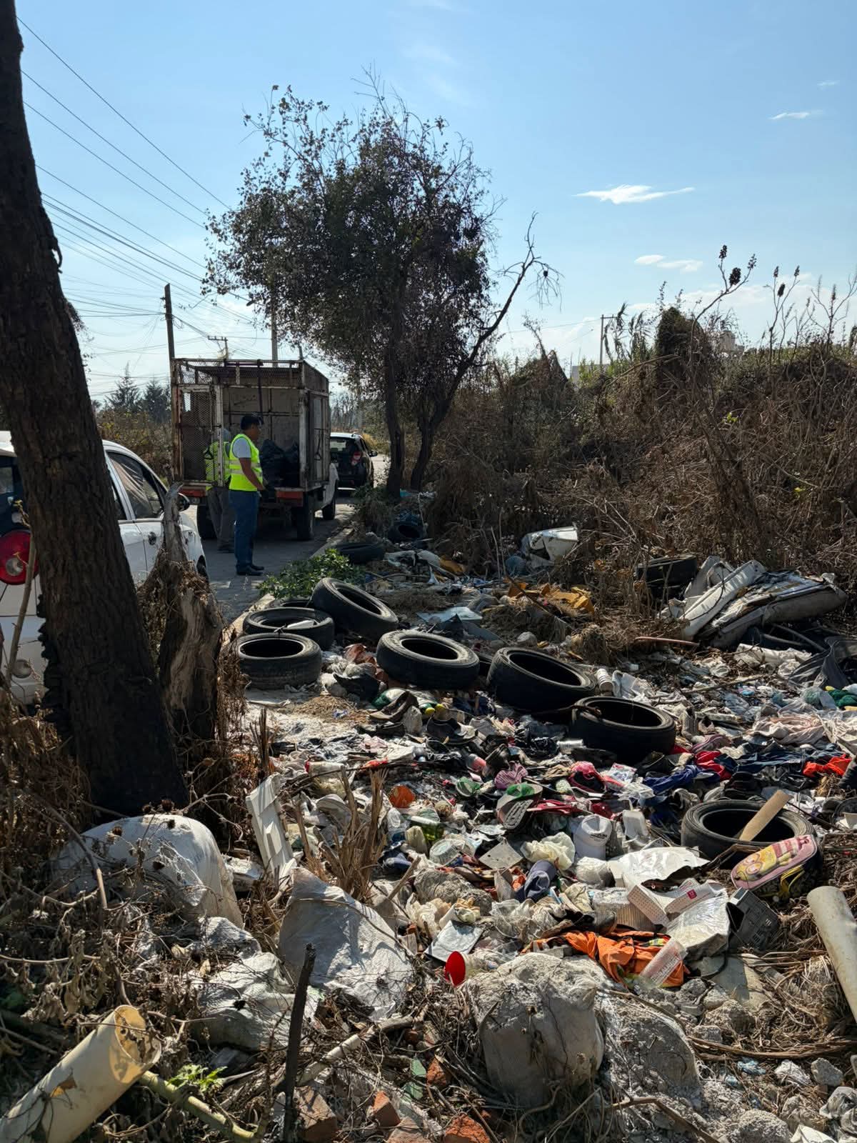 whatsapp image 2026 04 10 at 12.56.44 pm