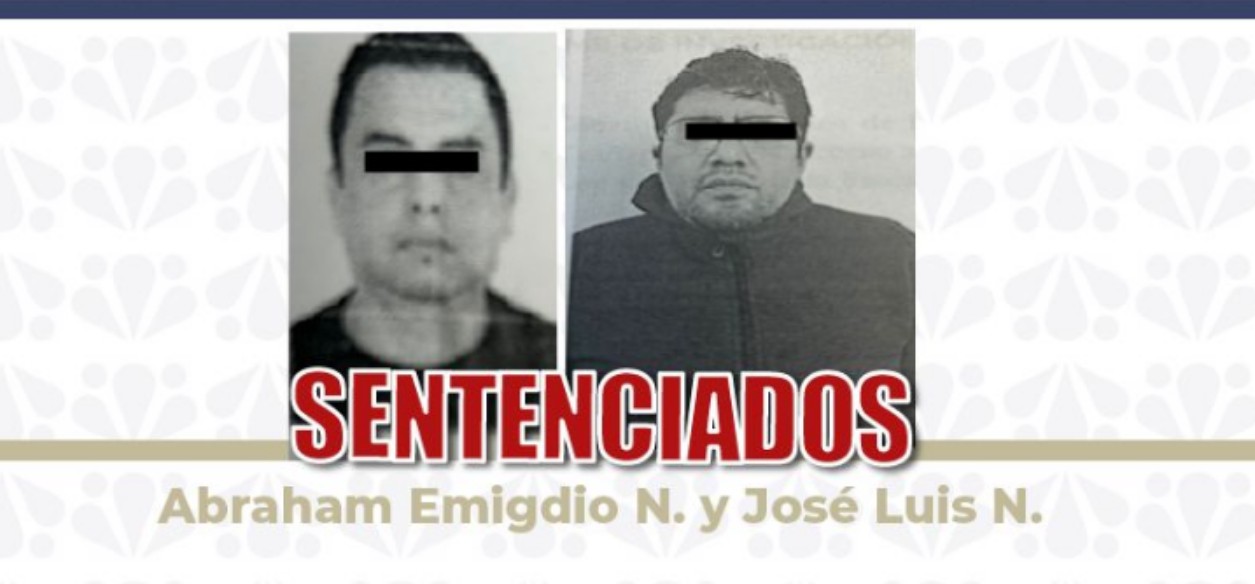 Avanza la justicia en casos de protección animal en Puebla